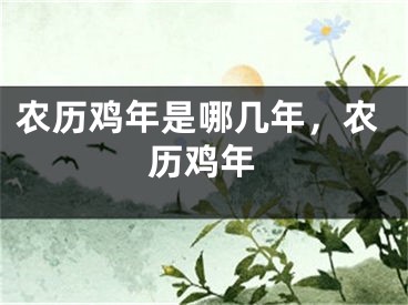 农历鸡年是哪几年，农历鸡年