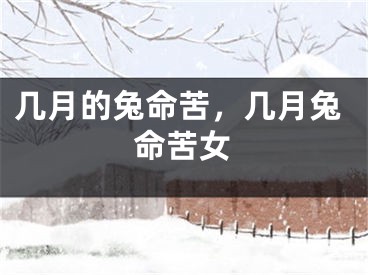 几月的兔命苦，几月兔命苦女
