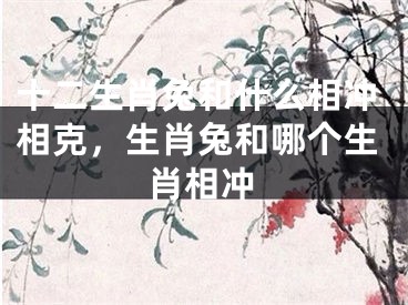 十二生肖兔和什么相冲相克，生肖兔和哪个生肖相冲