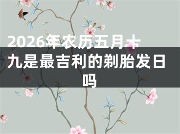 2026年农历五月十九是最吉利的剃胎发日吗