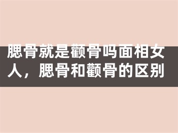 腮骨就是颧骨吗面相女人，腮骨和颧骨的区别