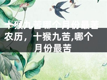 十猴九苦哪个月份最苦农历，十猴九苦,哪个月份最苦