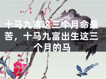 十马九富这三个月命最苦，十马九富出生这三个月的马