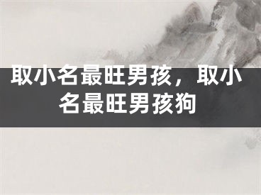 取小名最旺男孩，取小名最旺男孩狗