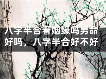 八字半合看姻缘吗男命好吗，八字半合好不好